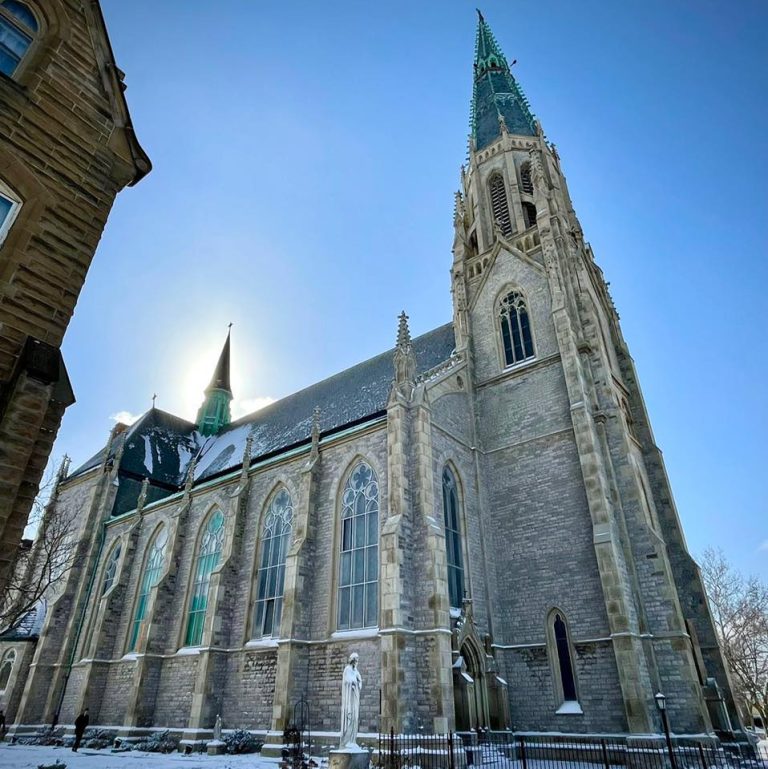 273008855 1252112551858905 2922594100260516547 n 768x769